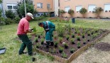 SZÉPÜL A VÁROS: SÖVÉNYT VÁGNAK, VIRÁGÁGYÁS KÉSZÜL